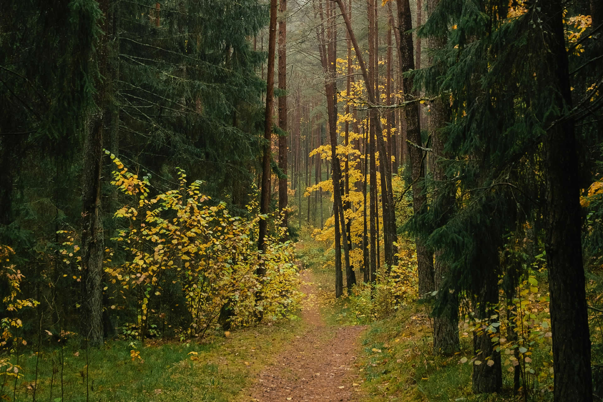 Tecnología y productos